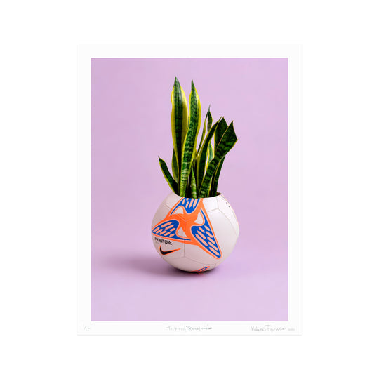 Radamés ‘Juni’ Figueroa, Tropical Readymade, 2026; Signed and Numbered Limited Edition Print