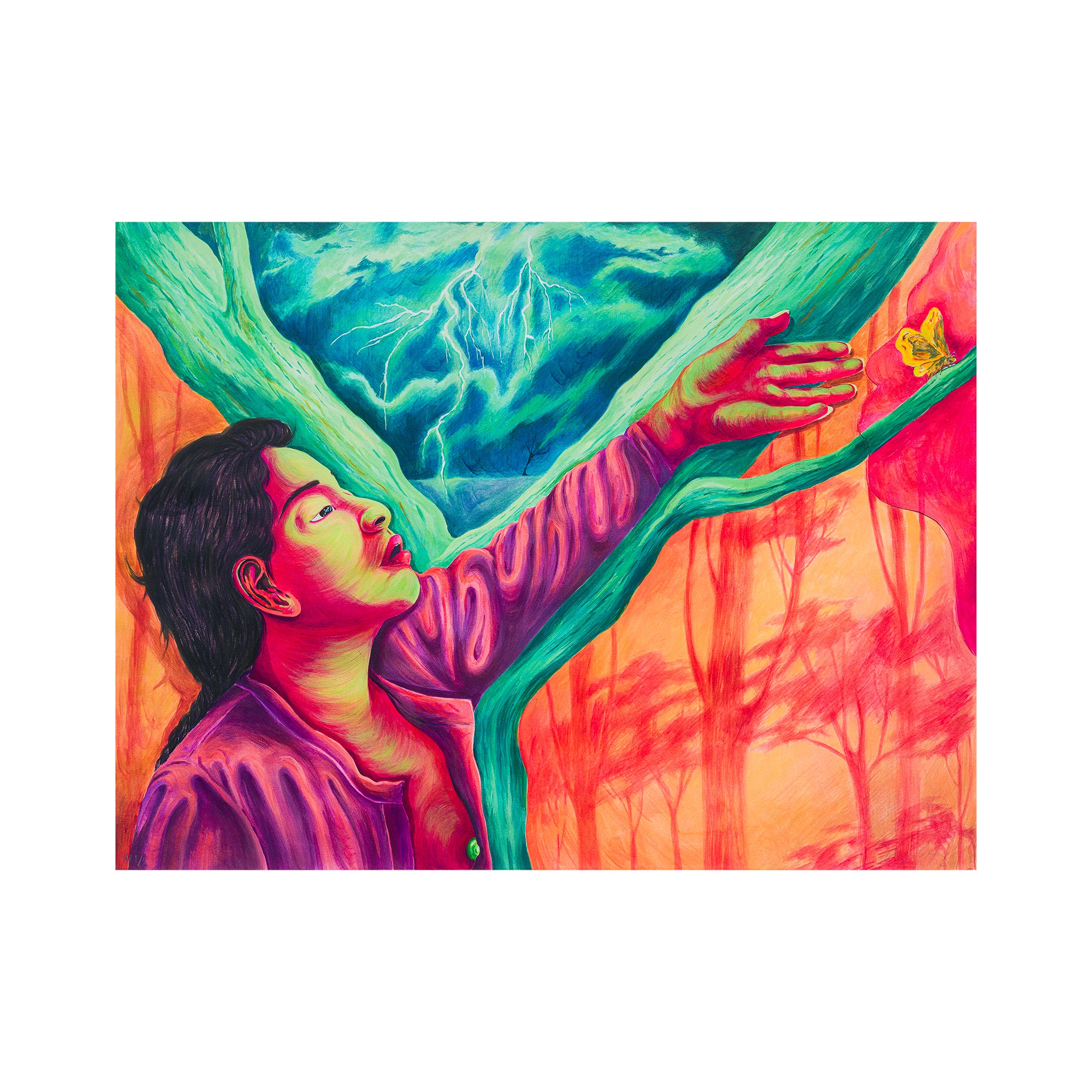 COLLECTIONS – ART FOR CHANGE