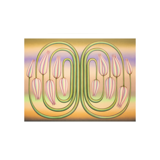 Molly Greene. Insinuator, 2021; Signed and Numbered Limited Edition Print Framed in White Wood